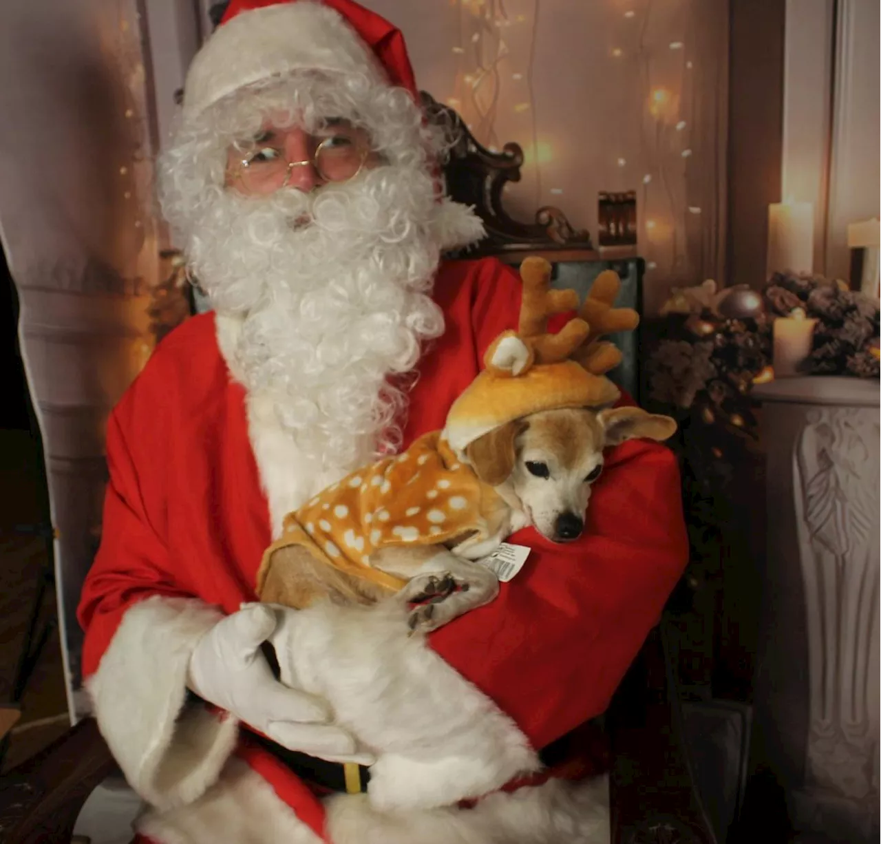 Montfort-en-Chalosse : un marché de Noël pour les grands et les petits