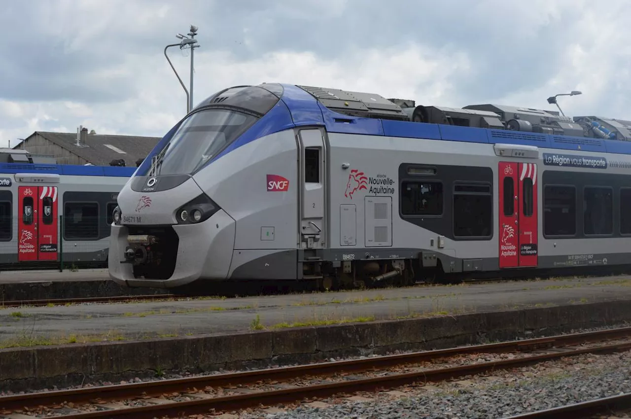 Tempête Caetano : les trains ne circuleront pas sur plusieurs lignes jeudi en Nouvelle-Aquitaine