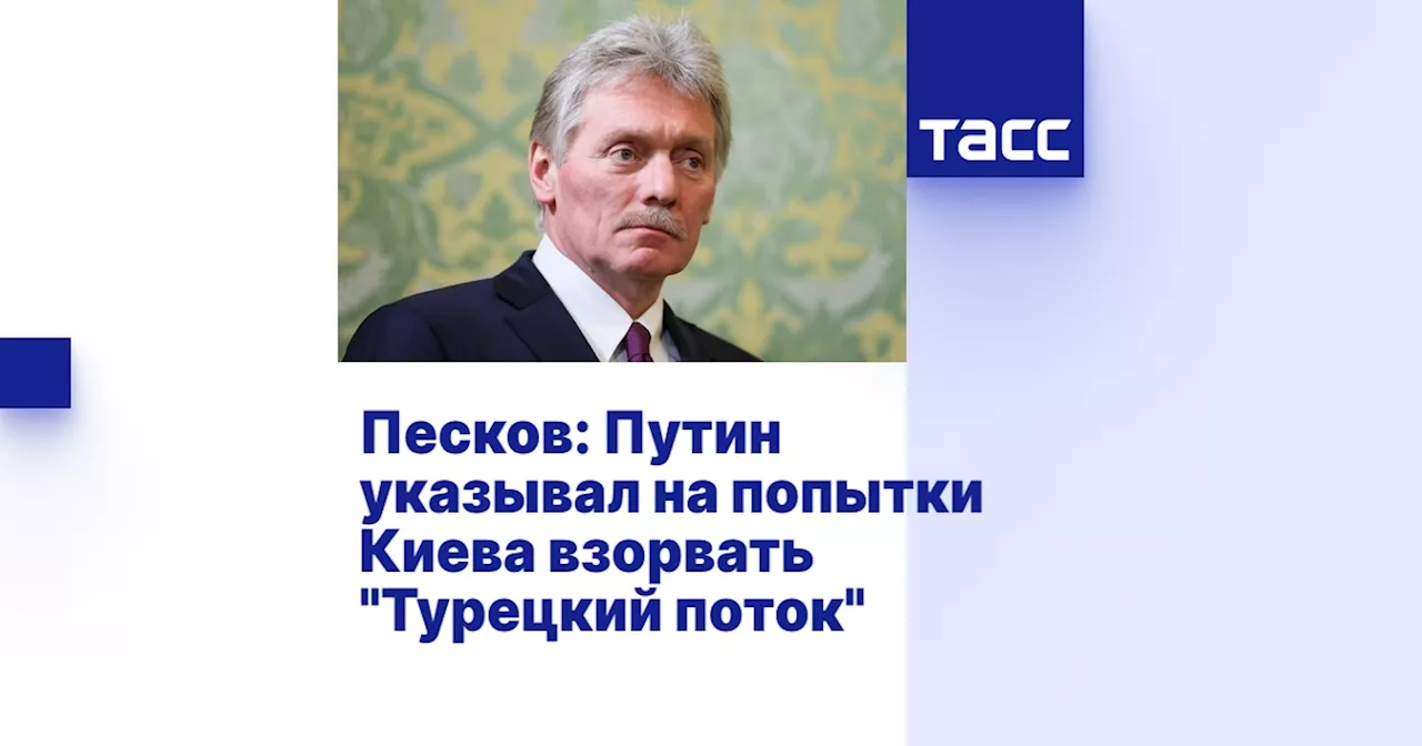 Песков: Путин указывал на попытки Киева взорвать 'Турецкий поток'