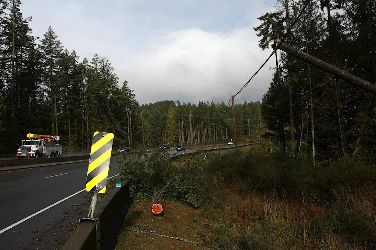 Emergency alert test comes as coastal B.C. mops up from ‘bomb cyclone’