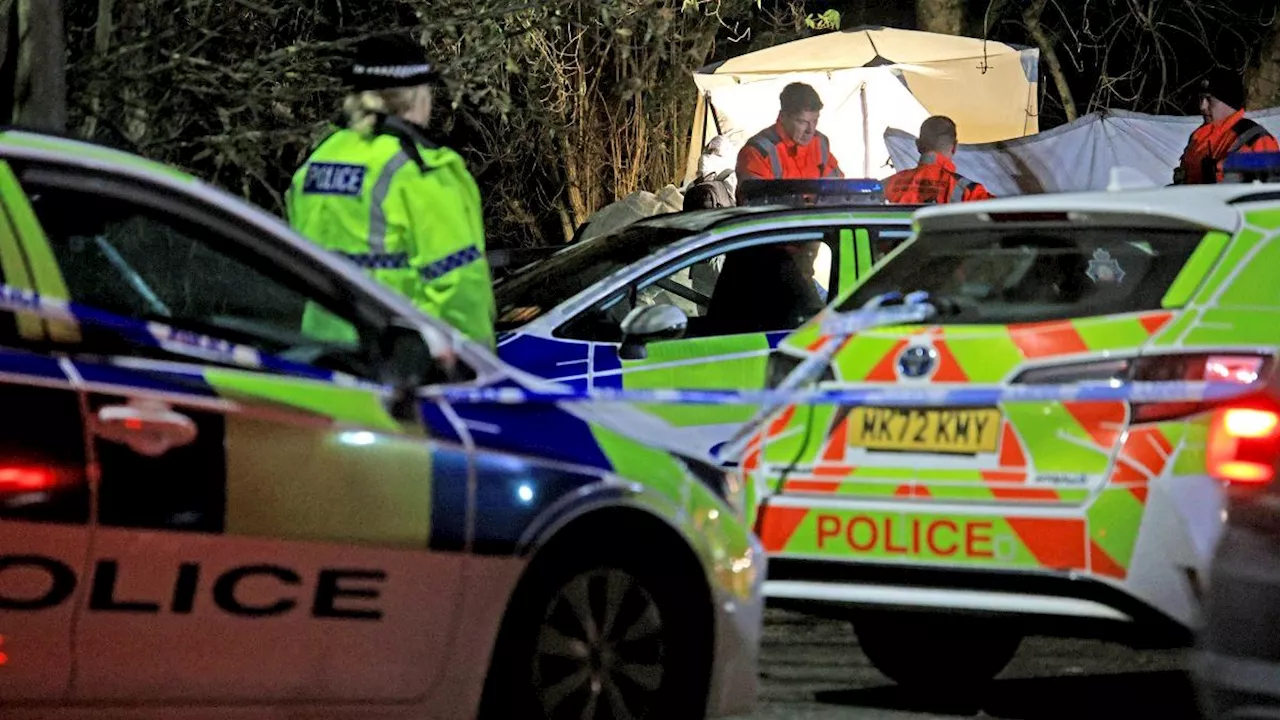 Remains of baby found in field in Greater Manchester