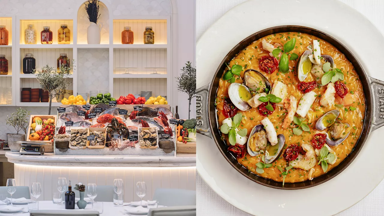 Star-Frequented Dubai Hot Spot Gaia Tops Miami’s Buzziest 2025 Restaurant Openings (Exclusive)