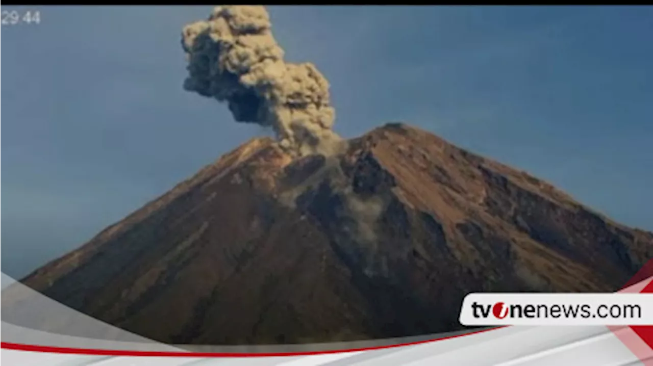 Gunung Semeru Erupsi, Semburkan Kolom Abu Setinggi 900 Meter, Warga dan Penambang Pasir Diimbau Waspada