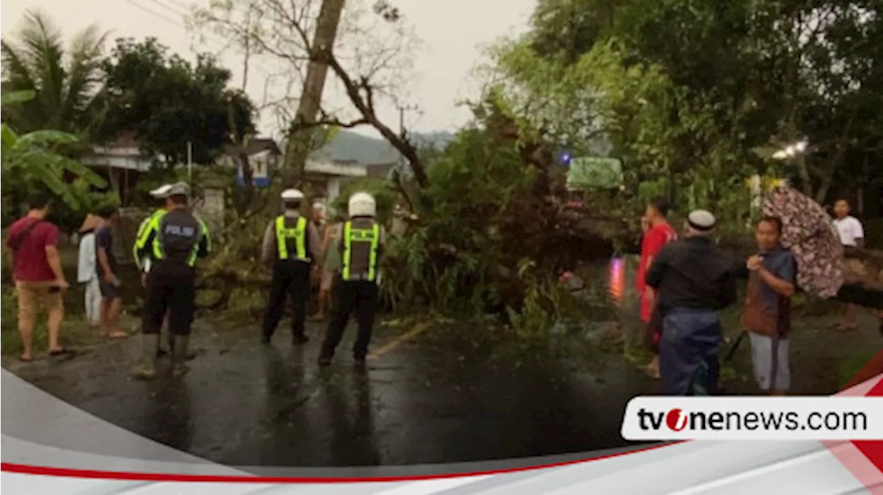 Hujan Deras, Pohon Tumbang di Jalur Trenggalek-Ponorogo Timpa 2 Pemotor