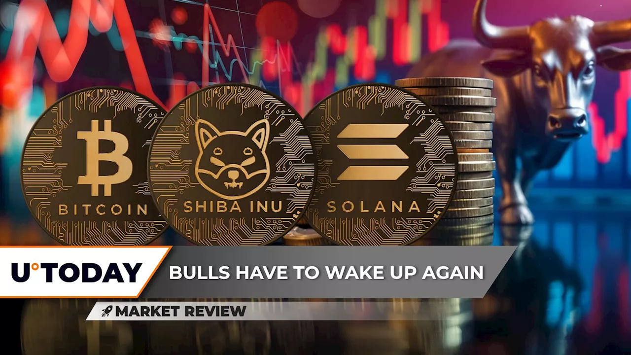 Bitcoin (BTC) Hits Crucial Price Level: Details, Here's Why Shiba Inu (SHIB) Is Moving Like Snail, Solana (SOL) Pushes to $300 as Billions in Volume Flow In