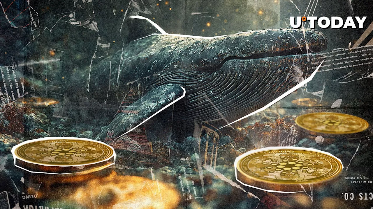 Cardano (ADA) Whales Wake up From Their Sleep En Masse