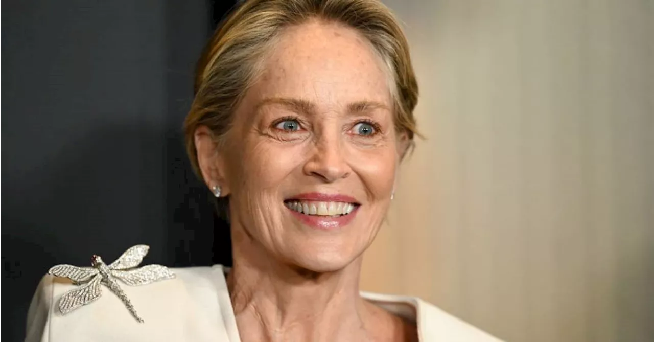 O flerte de Sharon Stone com astro em festa de Hollywood