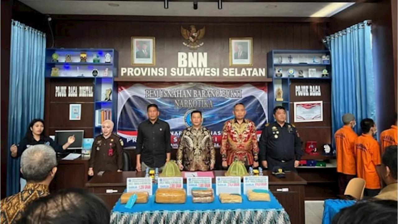 Pemusnahan 6,2 Kilogram Ganja oleh Kanwil Bea Cukai Sulbagsel dan BNNP Sulawesi Selatan