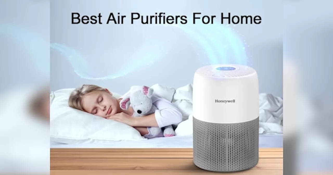 प्रदूषित हवा को कान पकड़कर घर से बाहर निकालेंगे ये Air Purifiers! न ज्यादा पैसों का पंगा, काम होगा चंगा