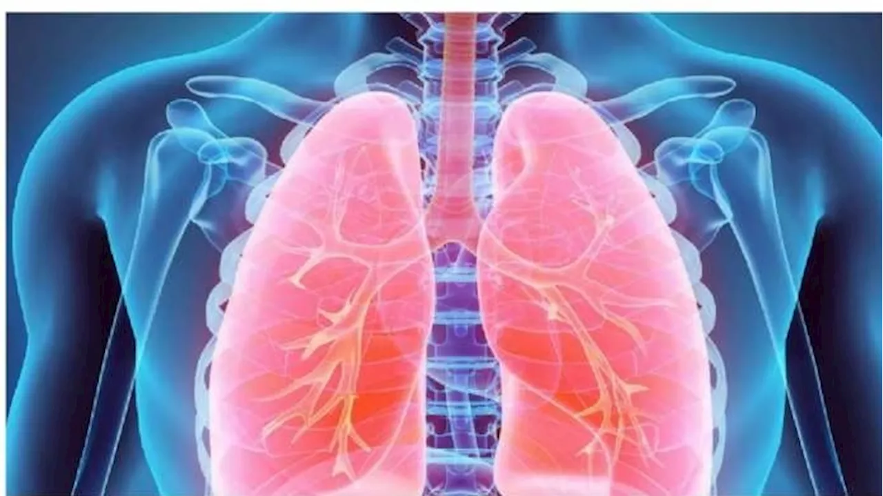 Healthy Lungs Remedies: ఈ ఫ్రూట్స్ తింటే చాలు ఊపిరితిత్తుల్లో పేరుకున్న చెత్తంతా డీటాక్స్