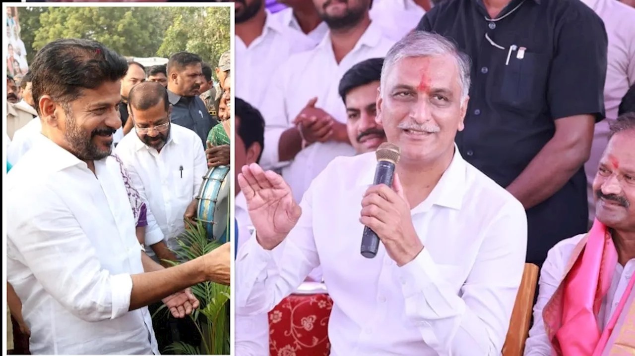 Harish Rao: రేవంత్‌కు హరీశ్‌ రావు స్ట్రాంగ్‌ కౌంటర్‌.. కేసీఆర్ కలుపు మొక్క కాదు కల్పవృక్షం