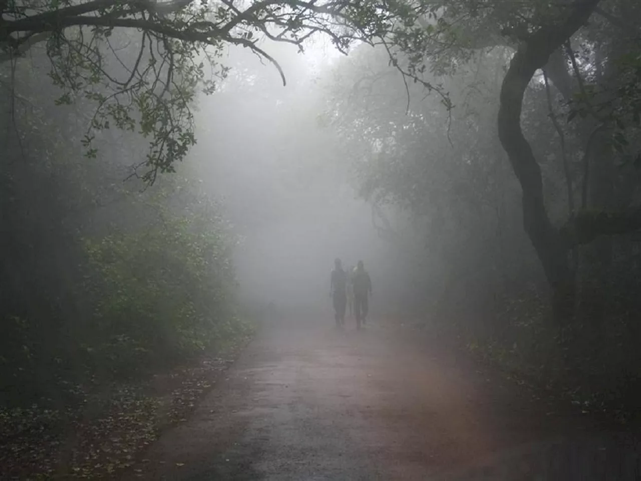 Maharashtra Weather News : देशासह राज्यात हुडहुडी; तापमानात लक्षणीय घट, आकडा पाहूनच म्हणाल, किती हा गारठा....