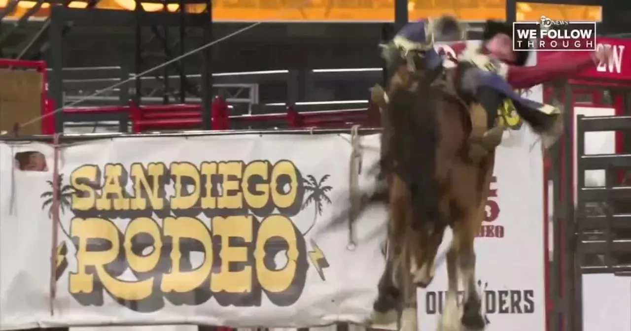 City to discuss rodeo ordinance in effort to keep animals safe City