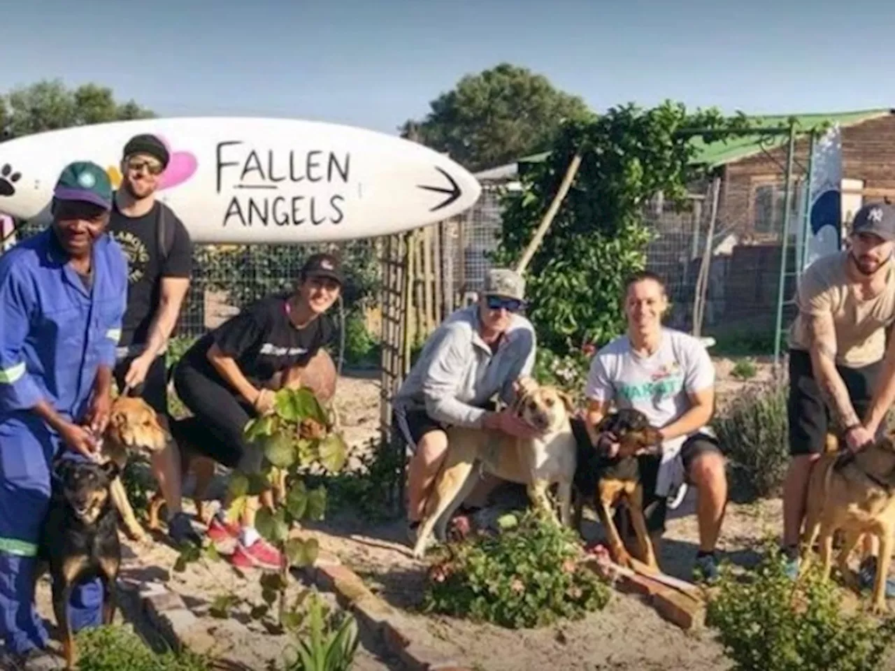 Fallen Angels’ Last Call: Help Needed To Rehome Animals As City Of Cape Town Orders Closure