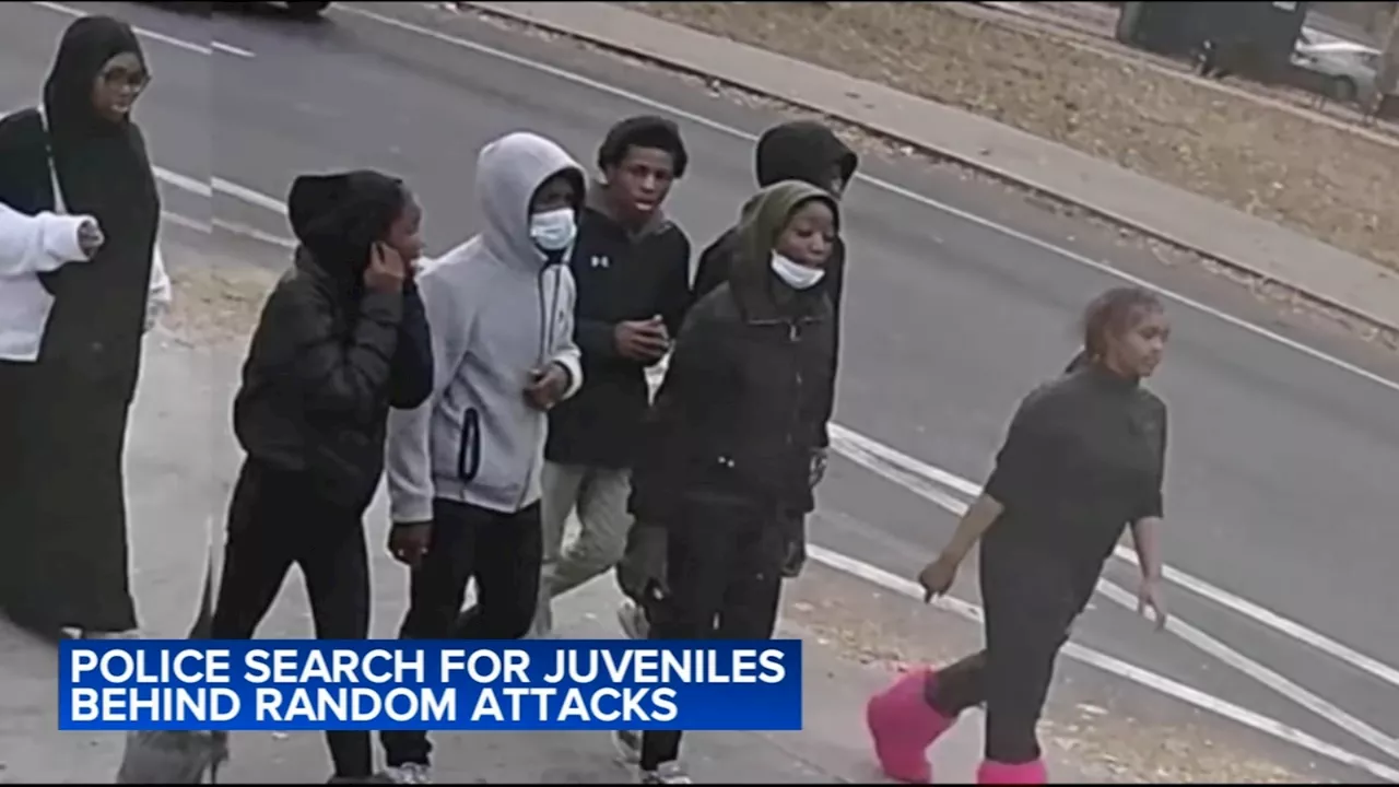 Group of juveniles wanted in series of random Center City attacks