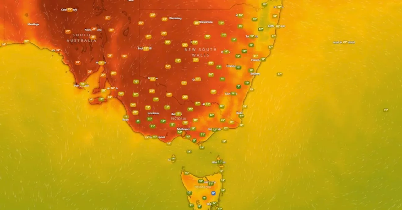 Scorching heat, fire warnings as millions of people swelter