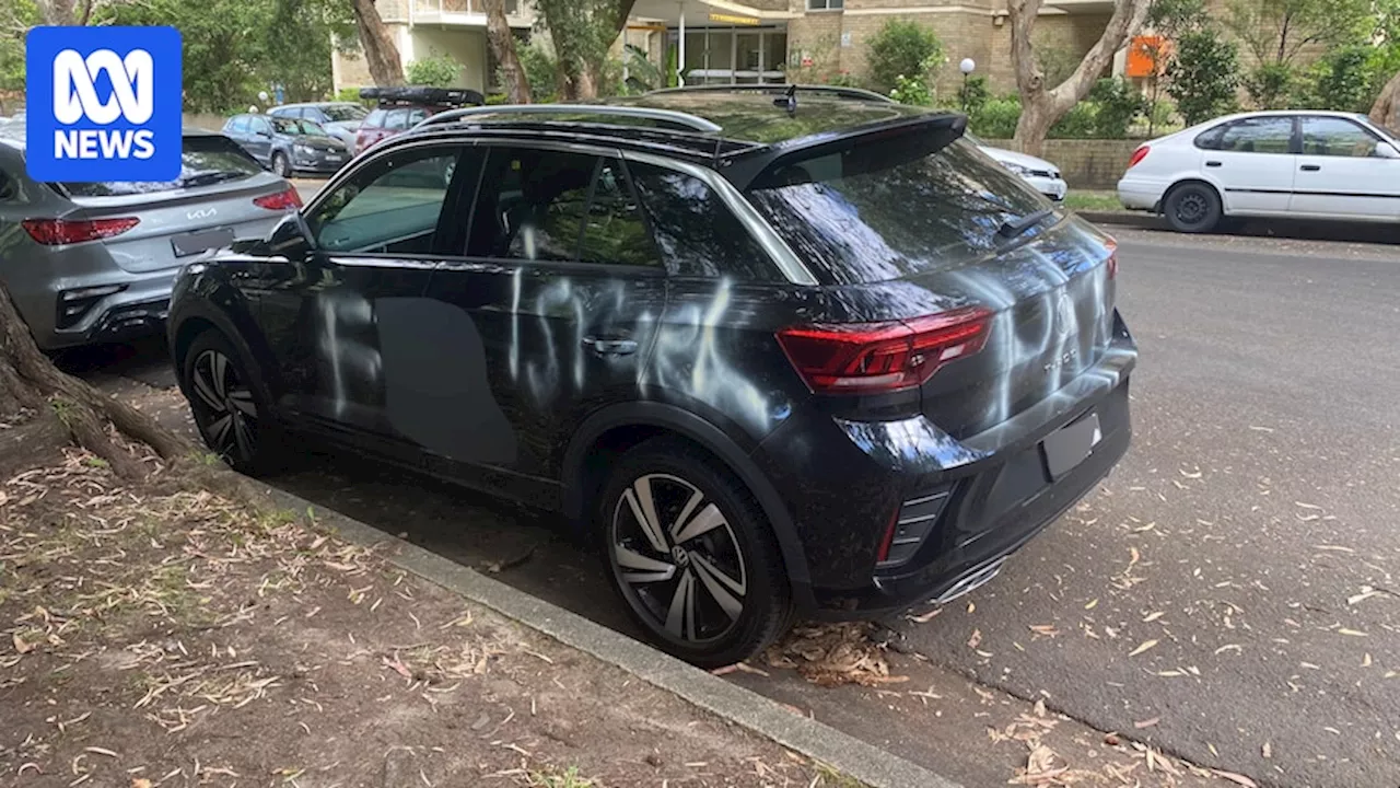 Car set alight, others vandalised with anti-Israel graffiti in Sydney's eastern suburbs