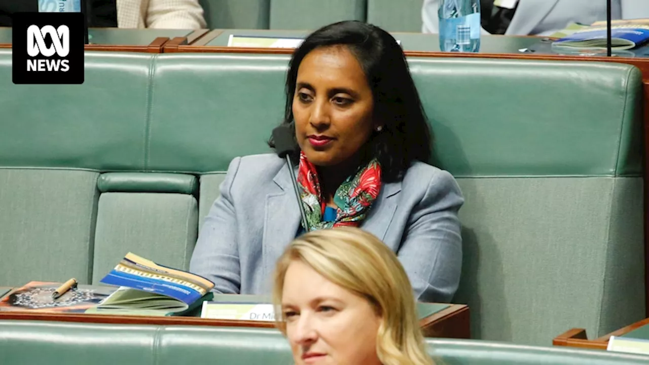 Labor MP Michelle Ananda-Rajah to make tilt for the Senate, after seat of Higgins abolished