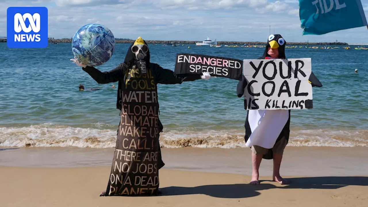 Large bulk carrier fails to scare off protesters in world's largest coal port at Newcastle