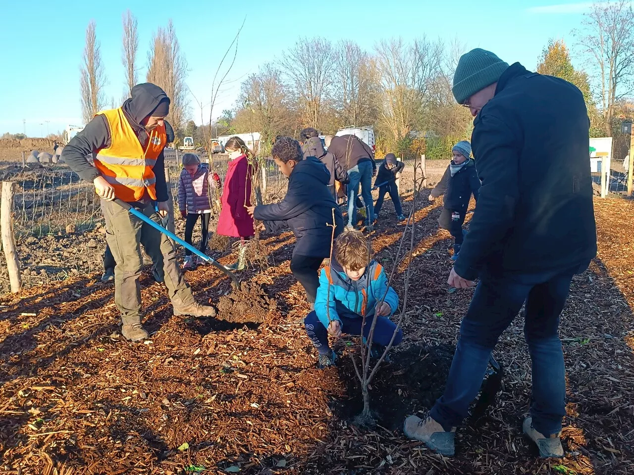 Un immense nouveau parc va voir le jour à Strasbourg : du jamais vu depuis 10 ans