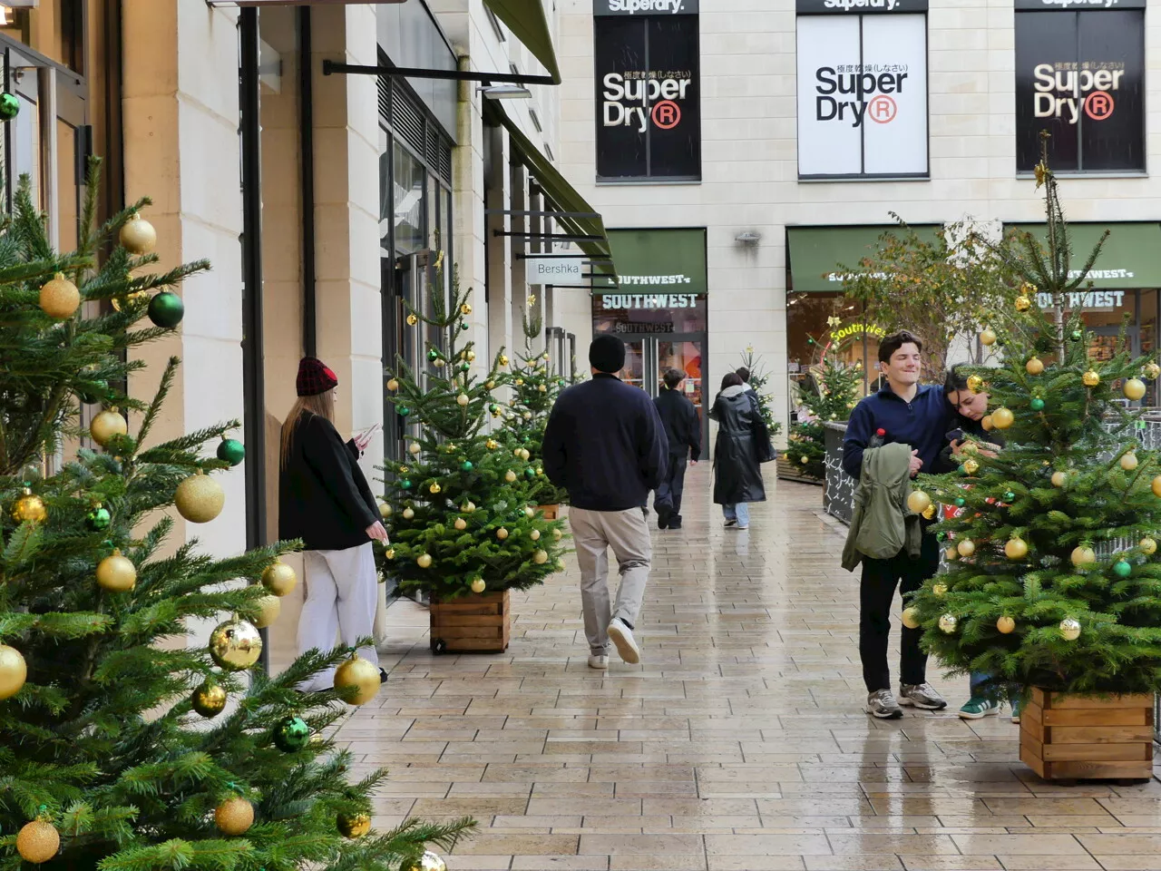 Une soixantaine de (vrais) sapins installés pour Noël à la Promenade Sainte-Catherine de Bordeaux