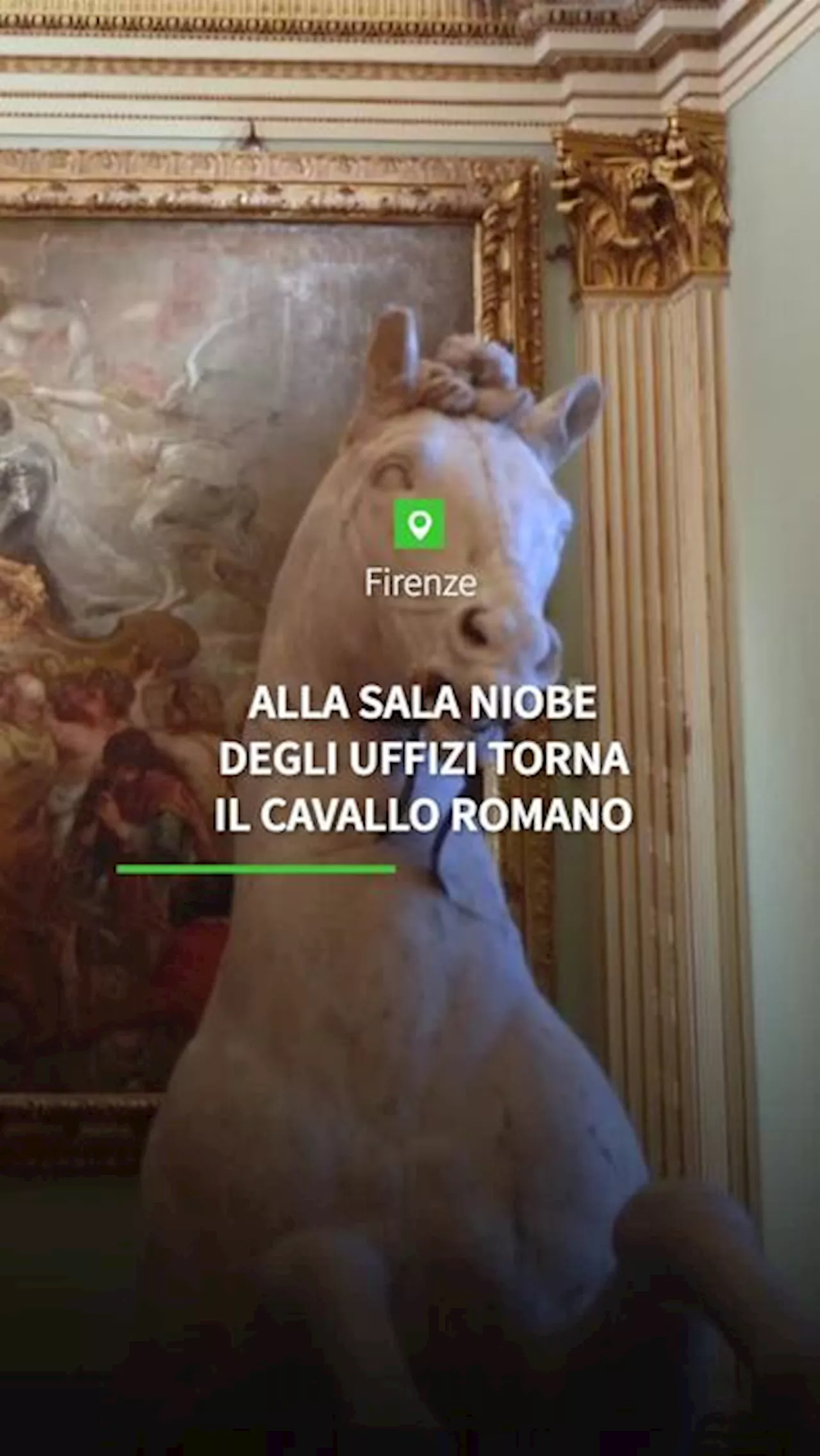 Firenze, alla sala Niobe degli Uffizi torna il cavallo romano