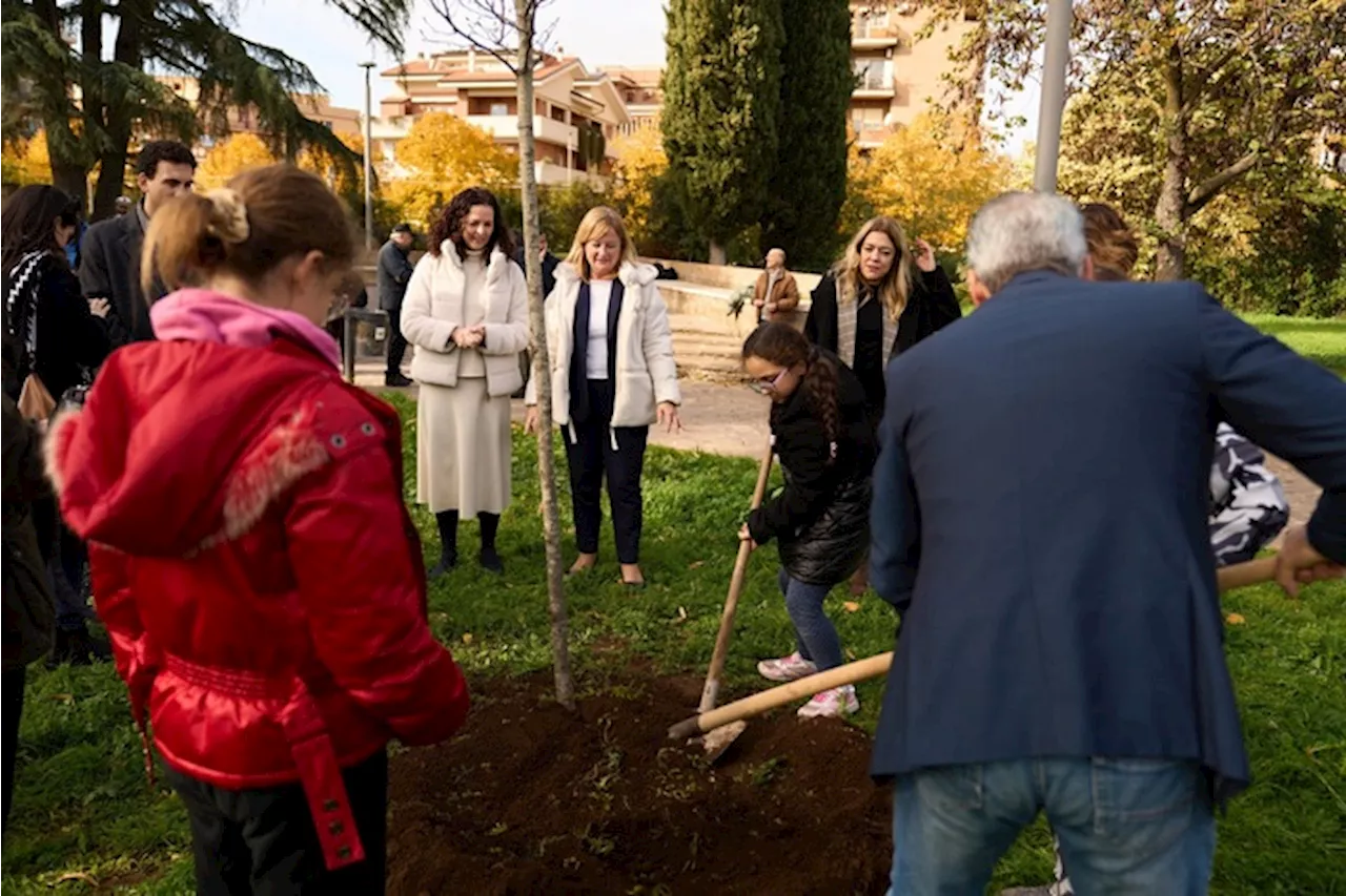 Il parco Aldo Moro di Ciampino si arricchisce di 240 alberi