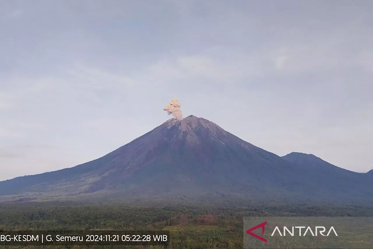 Gunung Semeru kembali erupsi dengan letusan setinggi 800 meter