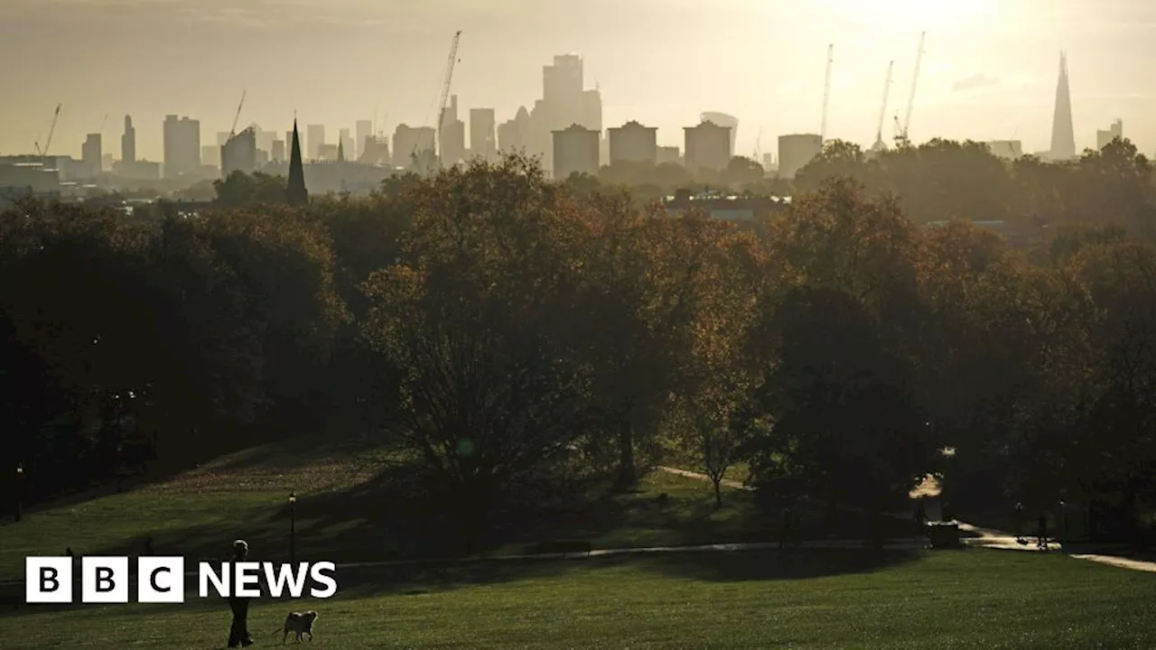 No New Year's Eve fireworks on Primrose Hill