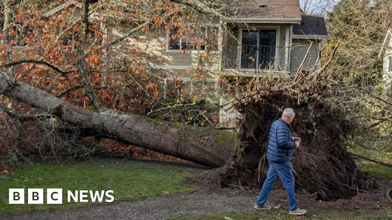 Bomb cyclone downs trees, crushing vehicles