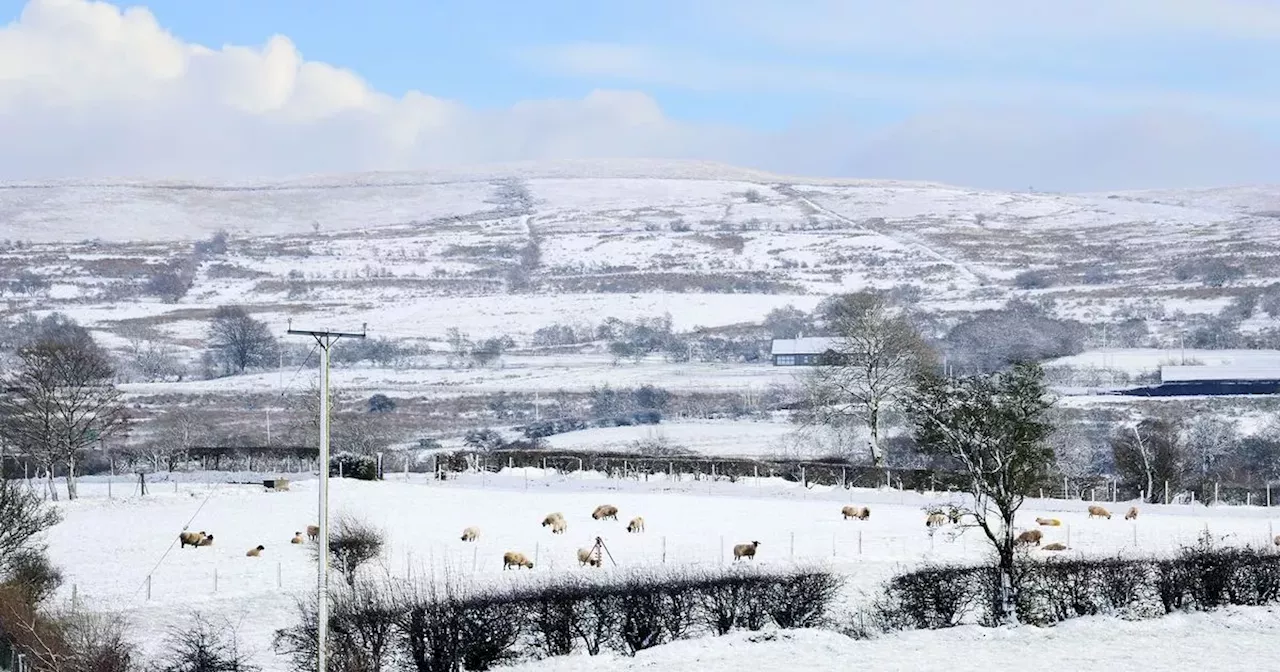 Northern Ireland weather and traffic updates as PSNI asks drivers to exercise caution