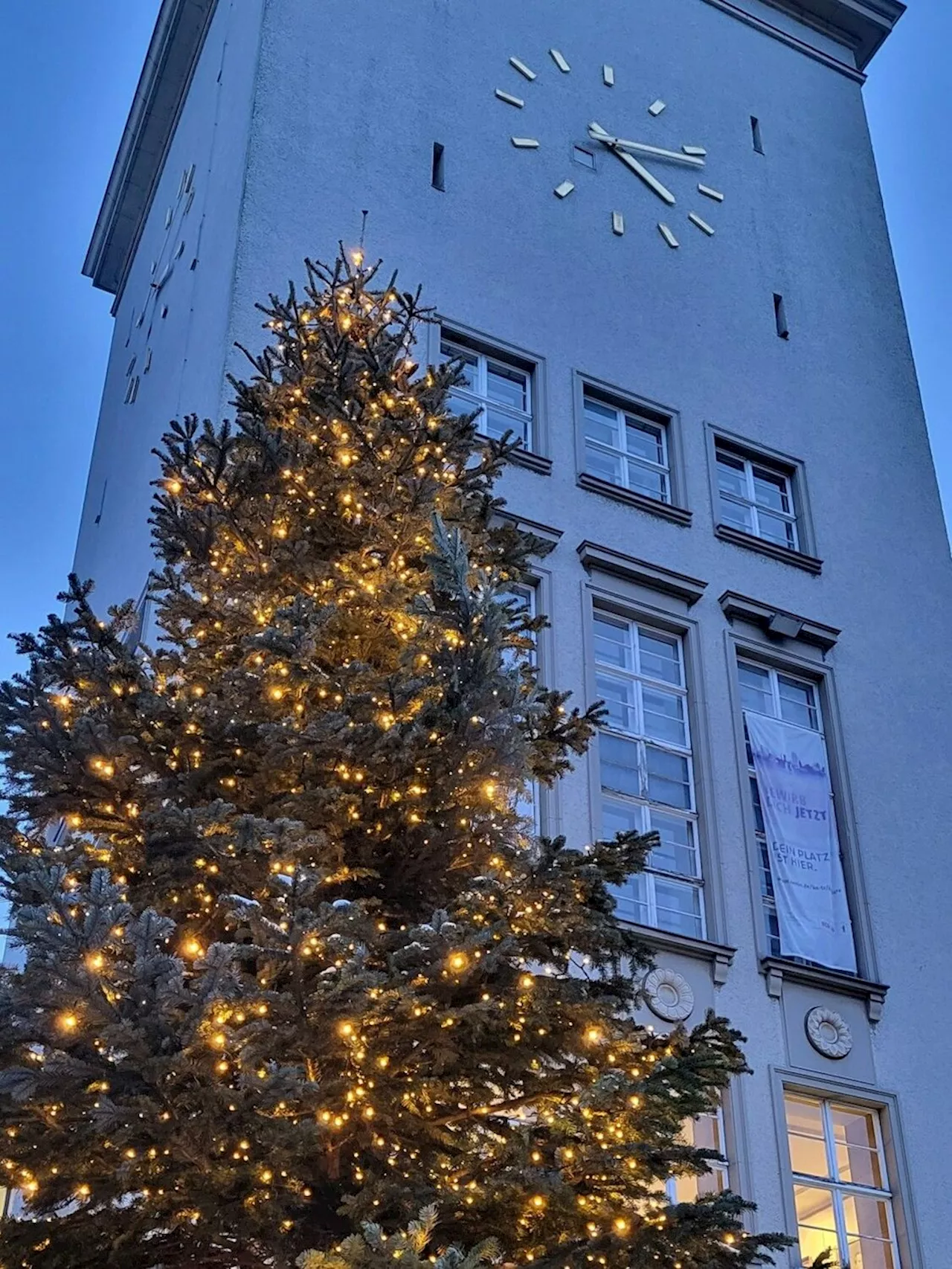 Tempelhof-Schöneberg: An diesem Tag werden die Rathaus-Weihnachtsbäume erleuchtet