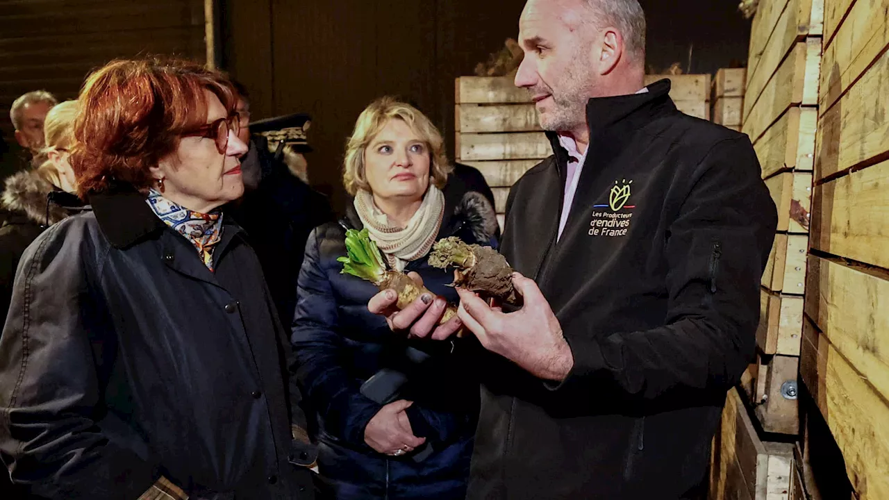 Confrontée à la colère des agriculteurs, Annie Genevard promet 'des annonces dans les prochains jours'