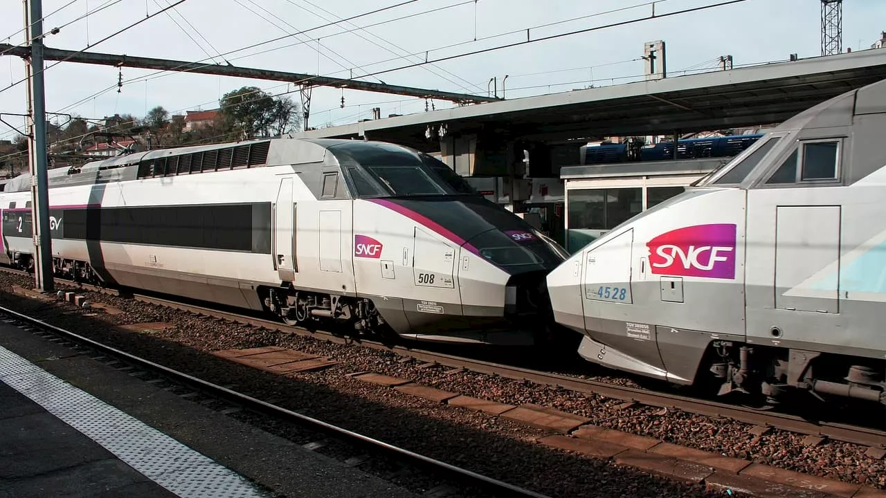 Grève SNCF: le mouvement pour Fret SNCF modérément suivi