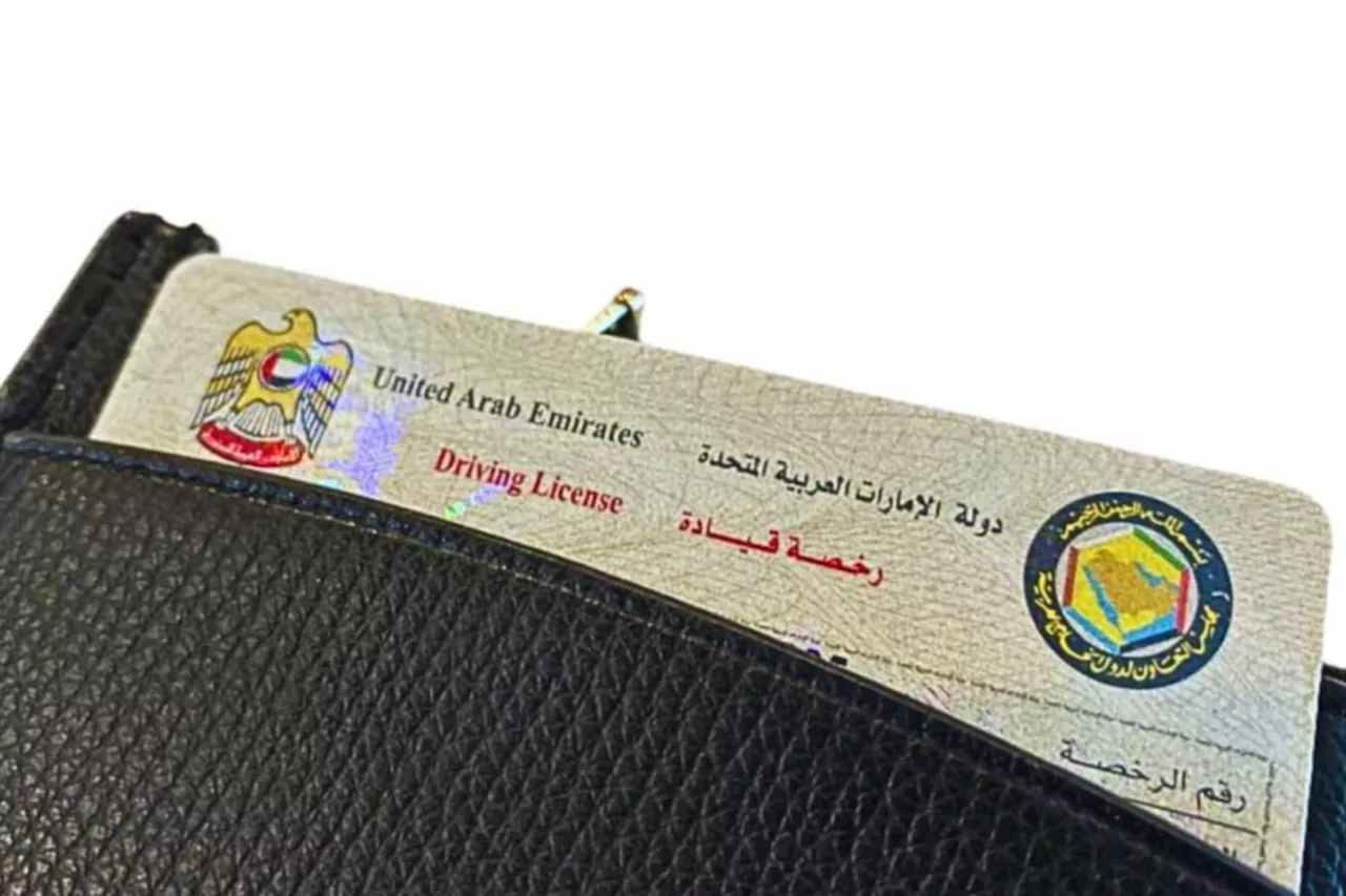 Dubai driving license latest renewal fee for November 2024