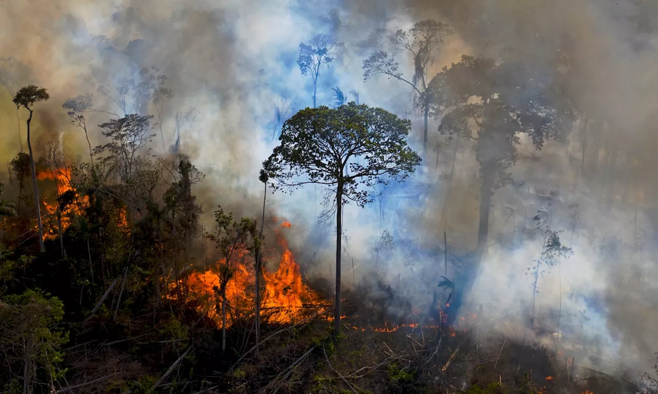 Fogo na Amazônia destruiu 10 vezes mais que desmatamento