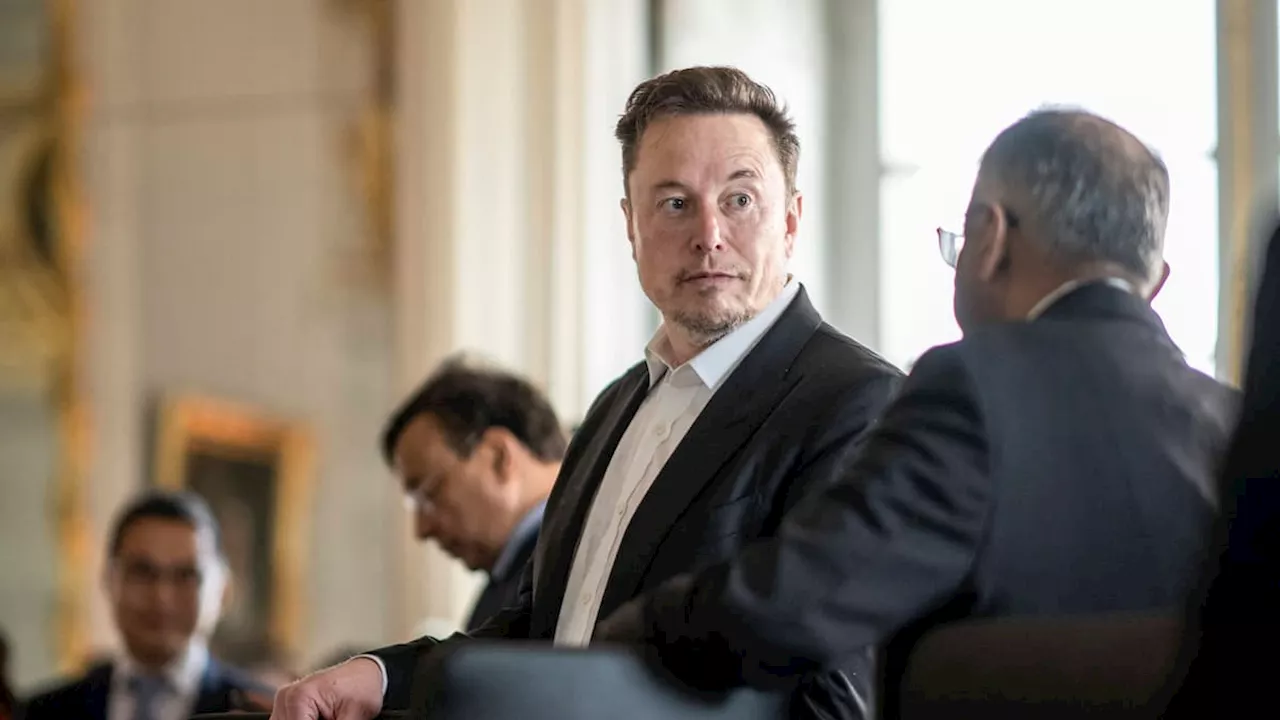 Musk erwartet Widerstand bei Kürzungen - und hofft auf Trump