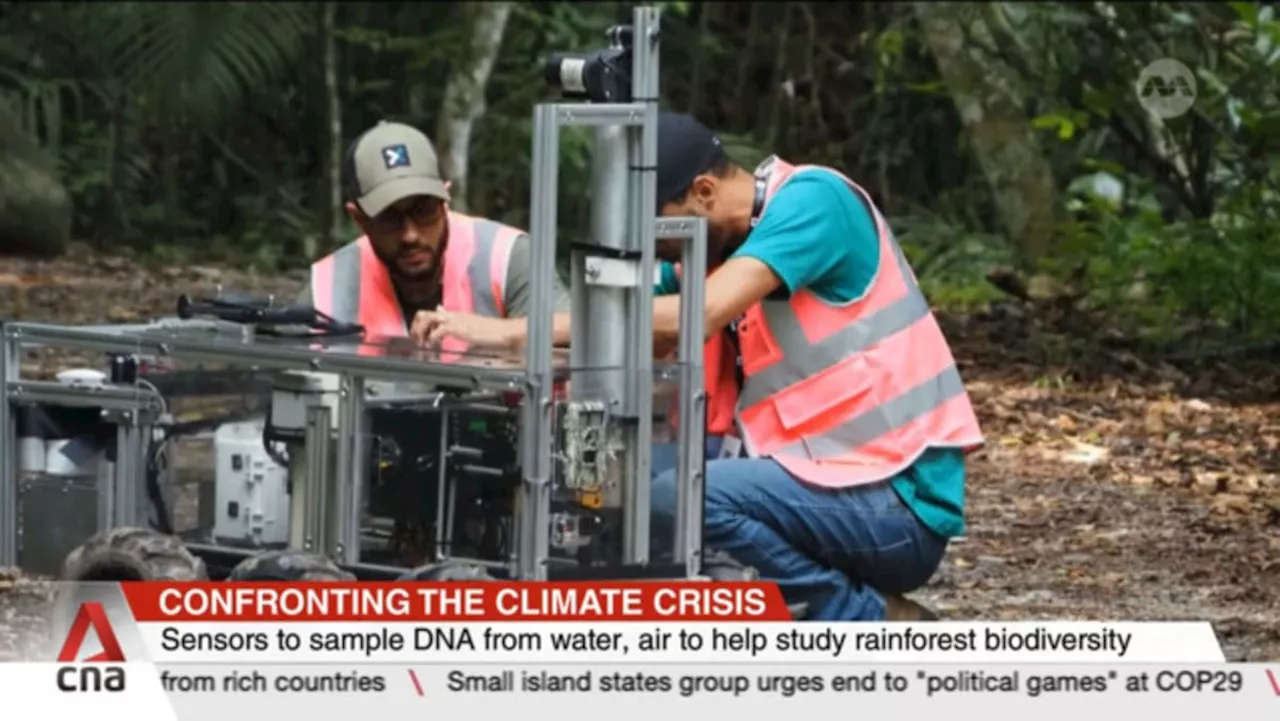 New tech for researchers to remotely survey rainforests in Southeast Asia