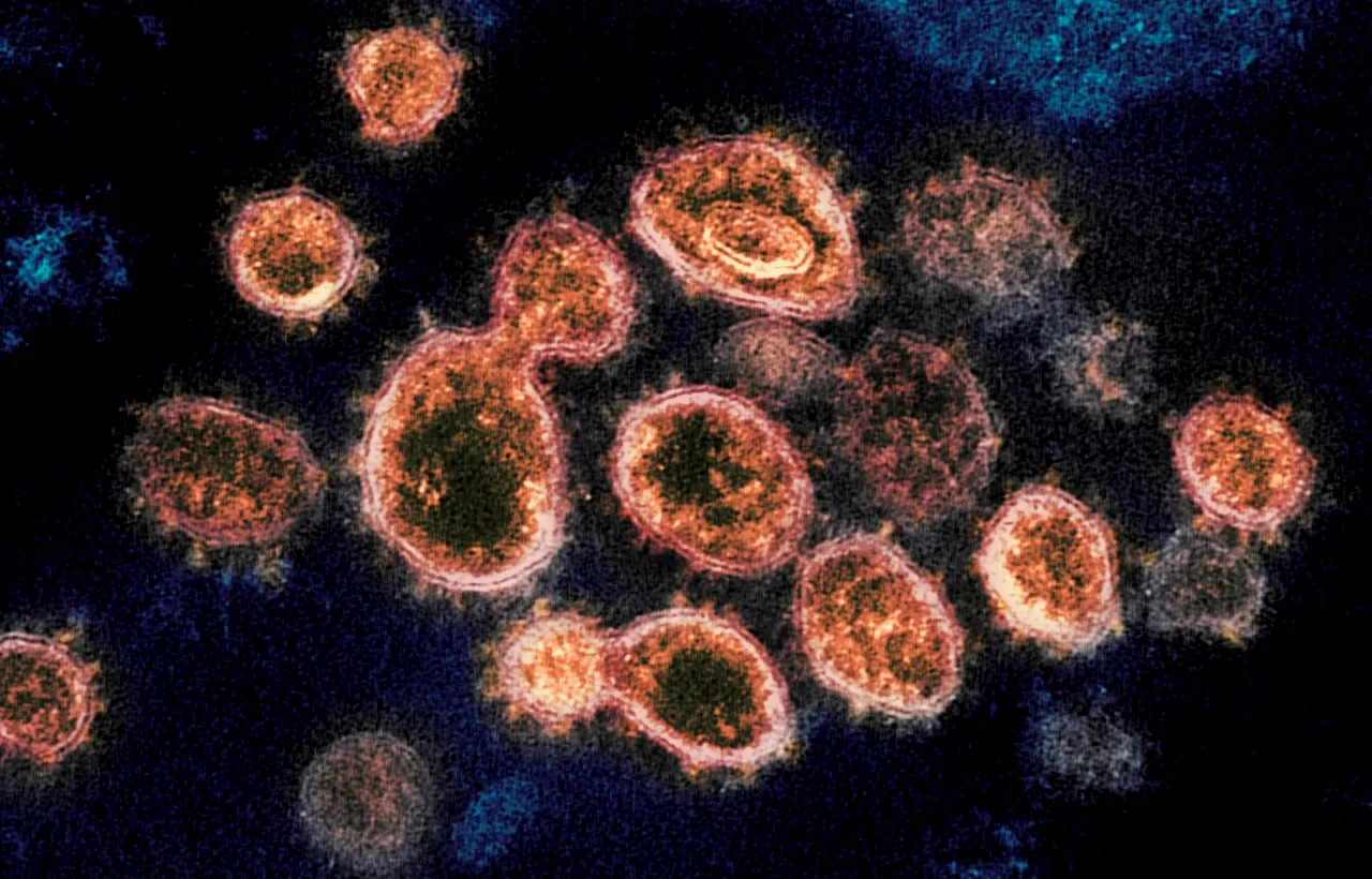 Ohio COVID-19 cases flat for another week: Coronavirus update for Thursday, Nov. 21, 2024