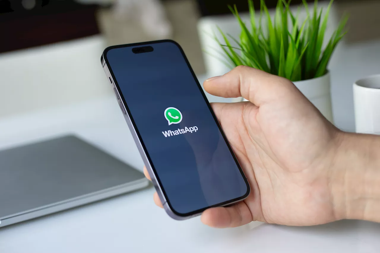 Meta déclare la guerre au spam sur WhatsApp Business