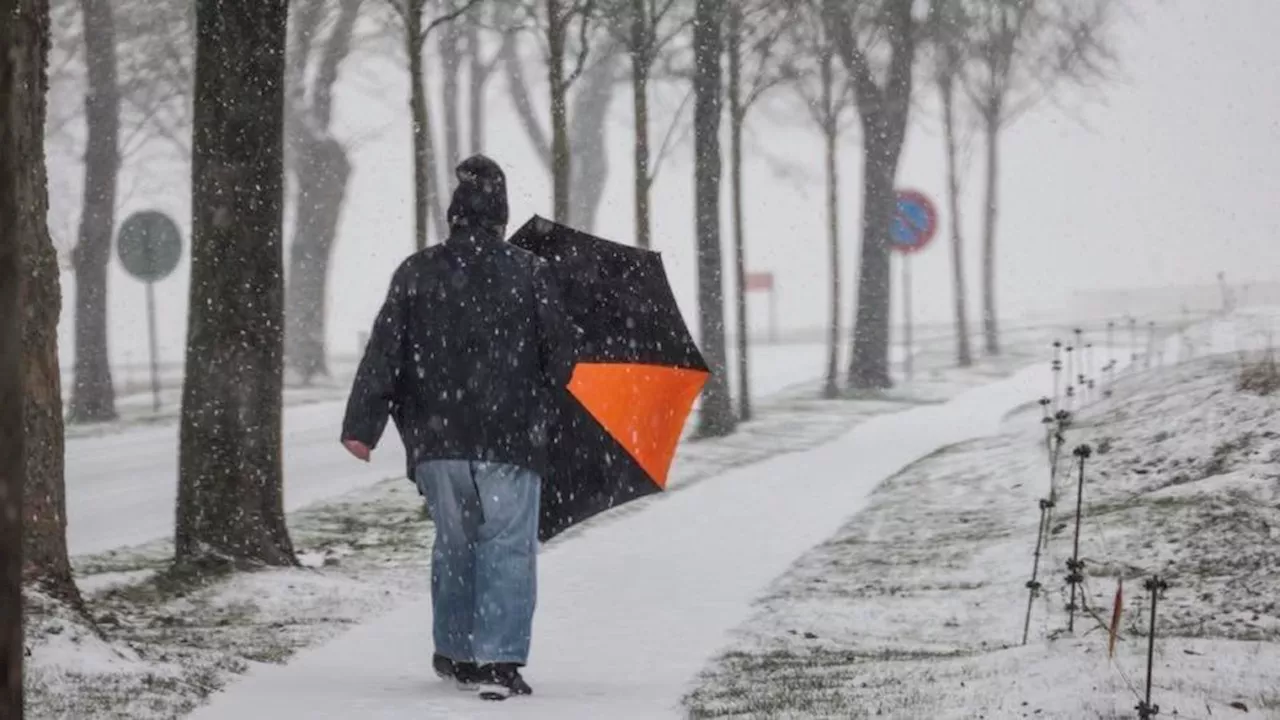 Tempête Caetano : les images de la neige qui tombent en Bretagne et en Normandie (vidéos)