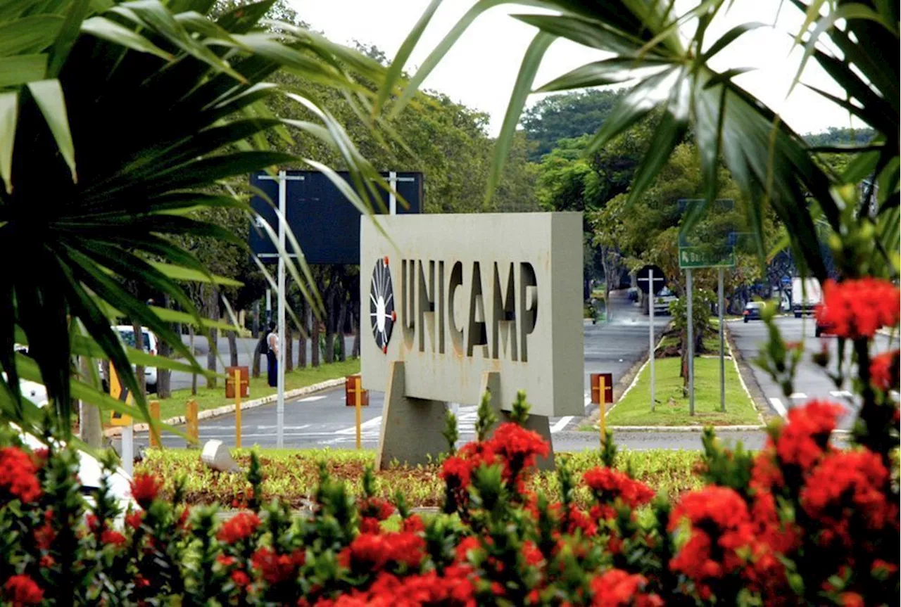 Cursinho da Unicamp abre inscrições para 80 vagas gratuitas