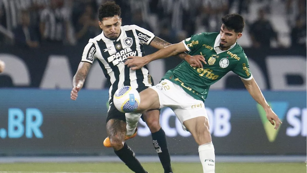 Enquete: o Botafogo vai perder o Brasileirão de novo? Vote!