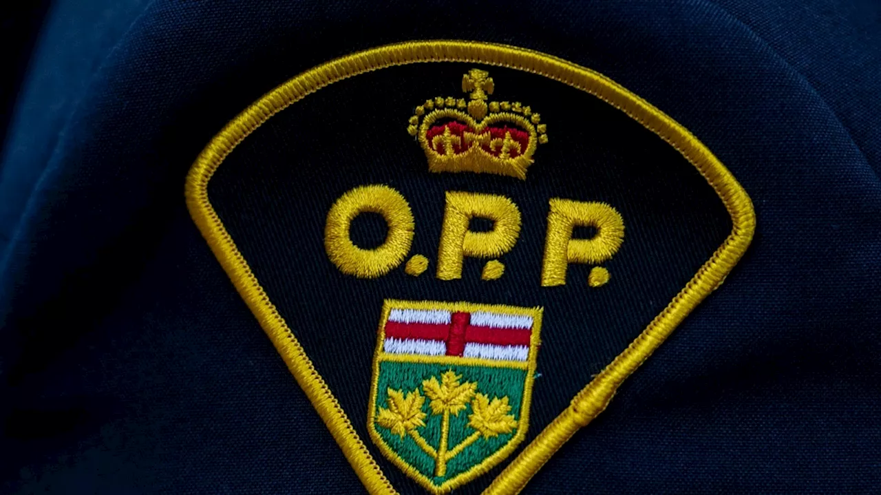 Unmarked police cruiser nearly hit by wrong-way driver on Hwy. 401: OPP