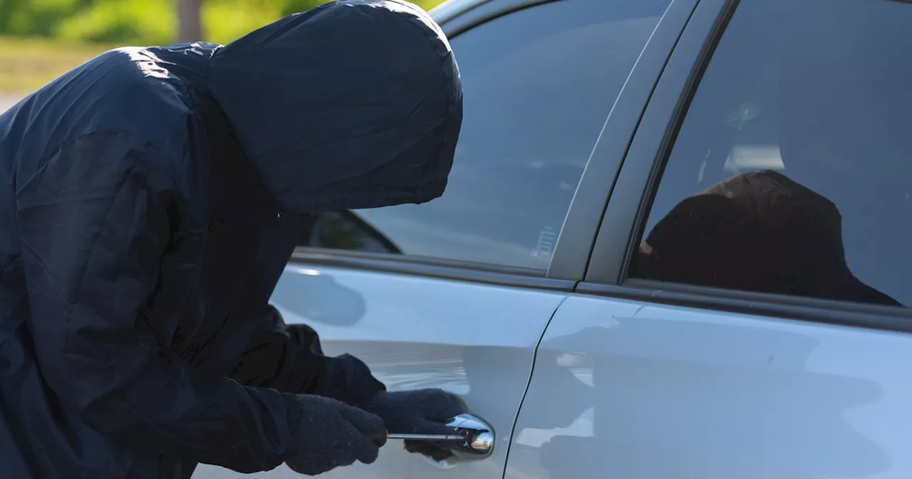 Tyven brød ind i Trine og Nikolajs bil: Få uger efter tog de sagen i egen hånd