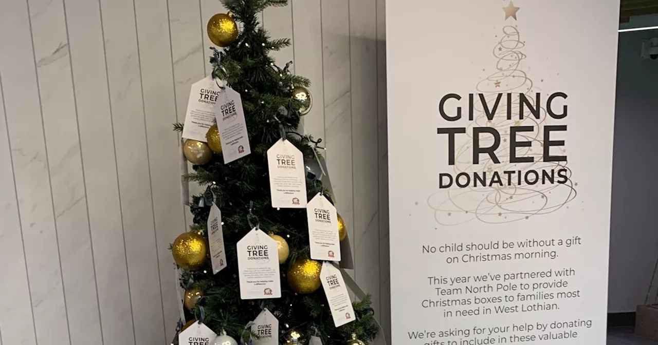 Christmas fundraising at Livingston Designer Outlet is tree-mendous!