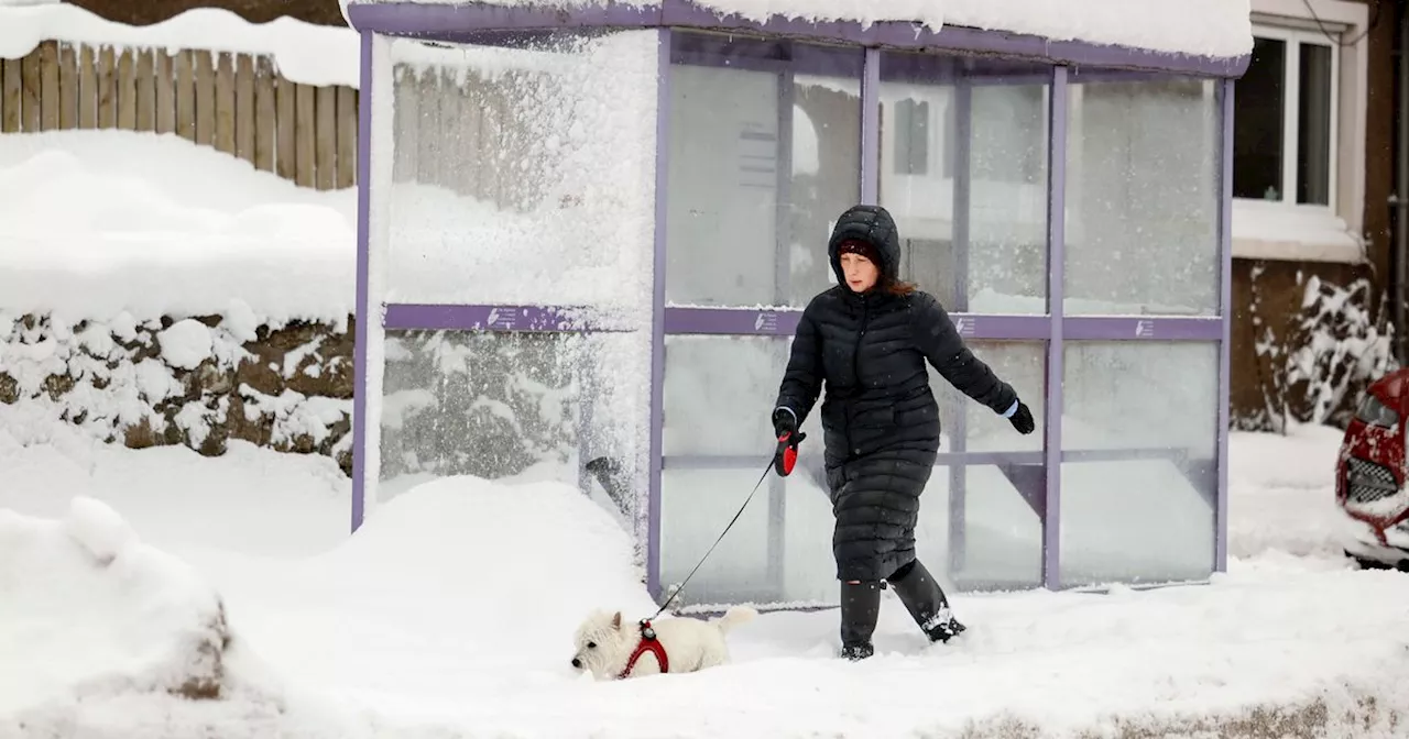 Schools and roads closed as snow and ice continue to batter Scotland