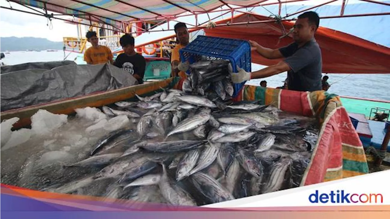 KKP Gandeng Norwegia buat Geber Standar Mutu Produk Perikanan RI