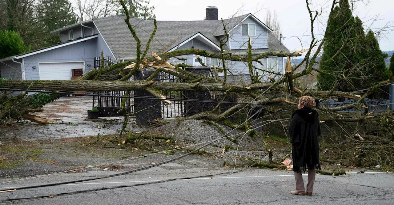 Sturm an US-Westküste: Mindestens zwei Tote, Hunderttausende ohne Strom