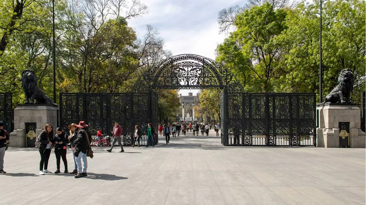 Otorgan recursos por más de 600 mdp al Bosque de Chapultepec; están pendientes trabajos en Cineteca Nacional y Bodega Nacional de Arte